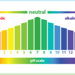 Vpliv pH na vaše zdravje