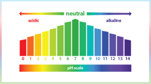 Read more about the article Vpliv pH na vaše zdravje